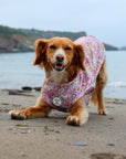 Pastal Petals Dog Cooling Vest