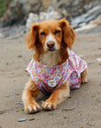 Pastal Petals Dog Cooling Vest