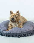 MINICAMP Dog Cushion - Cozy Boho Pet Bed with Tassel Trim, OEKO-TEX Certified by Minicamp at brixbailey.com