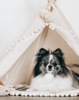 MINICAMP Dog Teepee & Large Cat Tent - Cozy Ecru Pet Bed with Pompoms by Minicamp at brixbailey.com