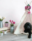 MINICAMP Dog Teepee & Large Cat Tent - Cozy Ecru Pet Bed with Pompoms by Minicamp at brixbailey.com