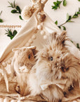 MINICAMP Rabbit Teepee Bunny Bed - Cozy Ecru Hideaway with Pompoms by Minicamp at brixbailey.com