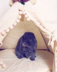 MINICAMP Rabbit Teepee Bunny Bed - Cozy Hideaway with Pompoms for Small Pets by Minicamp at brixbailey.com