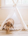 MINICAMP Rabbit Teepee Bunny Bed - Cozy Hideaway with Pompoms for Small Pets by Minicamp at brixbailey.com