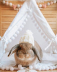 MINICAMP Rabbit Teepee Bunny Bed - Cozy Hideaway with Pompoms for Small Pets by Minicamp at brixbailey.com
