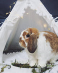 MINICAMP Rabbit Teepee Bunny Bed - Cozy Hideaway with Pompoms for Small Pets by Minicamp at brixbailey.com