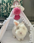 MINICAMP Rabbit Teepee Bunny Bed - Cozy Hideaway with Pompoms for Small Pets by Minicamp at brixbailey.com