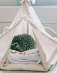 MINICAMP Hedgehog Bed Teepee with Soft Pad - Cozy Hideaway for Small Pets by Minicamp at brixbailey.com