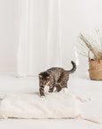 MINICAMP Teepee Tent for Cats, Dogs & Rabbits - Cozy Ecru Pet Bed with Faux Fur Mat - OEKO-TEX® Certified by Minicamp at brixbailey.com
