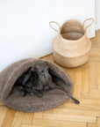 Natural Wool Pet Cave - Beige