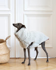 Woolen Dog Vest - Light Grey