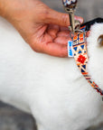 Boho Collection Dog Collar - Durable, Adjustable & Colorfully Stylish by Matteo at www.brixbailey.com