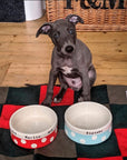 Medium Dog Bowls