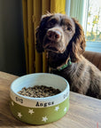 Medium Dog Bowls