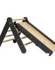 Ladder Slide and Climbing Wall in Black