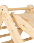 Ladder with a Slide-Climbing Wall - Natural Wood