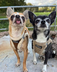 Tiny Trails Step In Soft Touch Suede Effect Faux Fur Lined Puppy and Small Dog Harness Mocha