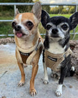 Tiny Trails Step In Soft Touch Suede Effect Faux Fur Lined Puppy and Small Dog Harness Mocha