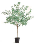 Eucalyptus Tree Drop-In 49"