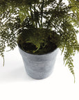 Artificial Fern Drop In 21"