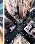 No. 212 Concrete Jungle