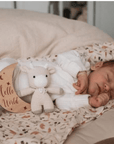 Wooden Month-by-Month Baby Milestone Set