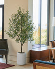 7ft Artificial Olive Tree with Planter