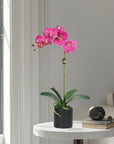 Artificial Orchid Plant in Vase - 20"