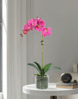 Artificial Orchid Plant in Vase - 20"