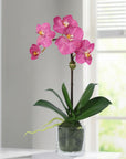 Faux Orchid Plant in Glass Vase