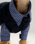 Plaid Shirt