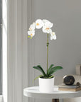 Artificial Orchid Plant in Vase - 20"