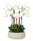 Artificial orchid centerpiece arrangement in beige planter - 28"