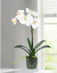 Faux Orchid Plant in Glass Vase