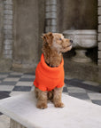 Lava Orange British Wool Dog Jumper