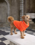 Lava Orange British Wool Dog Jumper