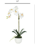 Faux Orchid Plant in White Vase - 18"