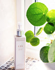 HAND WASH & BODY LOTION SET