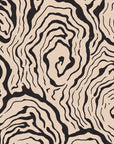 Oysters - in Monochrome - Wallpaper