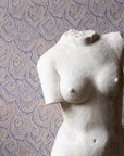 Oysters - in Pearl - Wallpaper