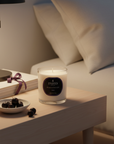 CASSIS CANDLE 220G