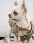 Leather Collar