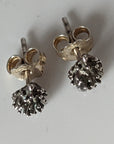Silver Steed Pine Cone Stud Earrings