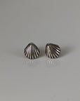 Silver Steed Shell Stud Earrings