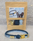 Make Your Own Dog Collar Craft Kit - BLUE