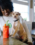 Buddy Mary dog toy