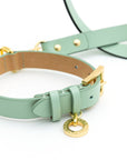Premium Leather Set