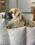 Luxury Bouclé Dog Bed with Removable Cushion – Handmade in Devon