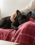 Drogo Red Check Dog Blanket | Luxury Handmade Reversible Sherpa Throw | Customisable Pet Blanket UK