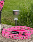 Signature Pink Chihuahua Print Exclusive Lead by My Chi and Me